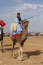 Image du Maroc Professionnelle de  Des hommes du désert s’apprêtent à une course de chameaux organisé dans un site désertique sur lequel la ville de Tan Tan a toujours accueilli la majorité des tribus et des grandes familles nomades du désert lors d'un grand Moussem, Samedi 7 Septembre 2013. Le festival parrainé par l'UNESCO rassemble des milliers de nomades du Maroc. (Photo / Abdeljalil Bounhar)